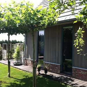 Homestay De Greenhouse, Amsterdam